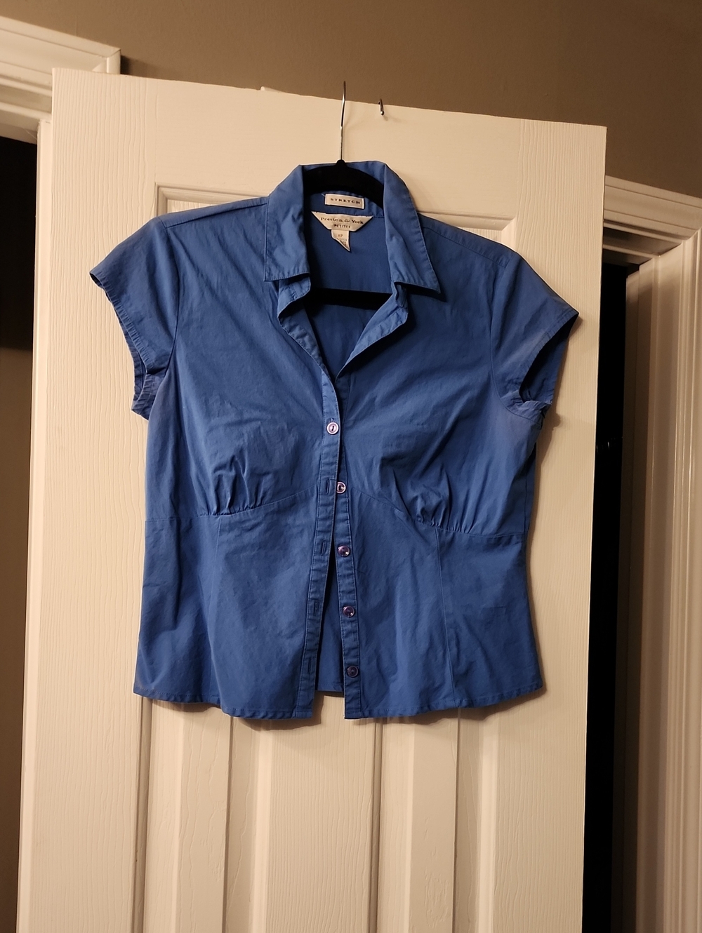 Preston & York Short-Sleeve Blue Button-Down Shirt